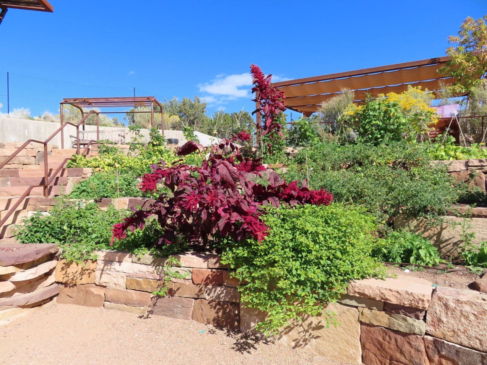 Garden view