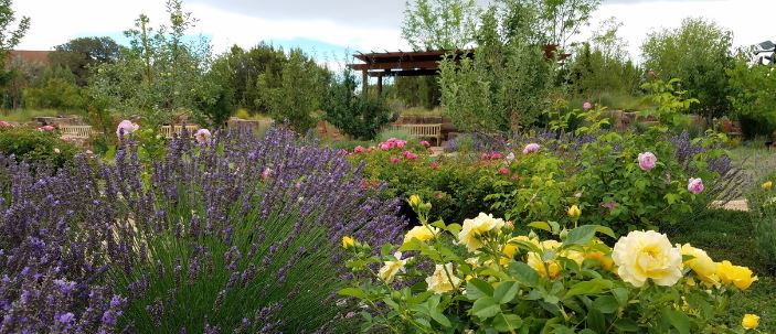 Garden view